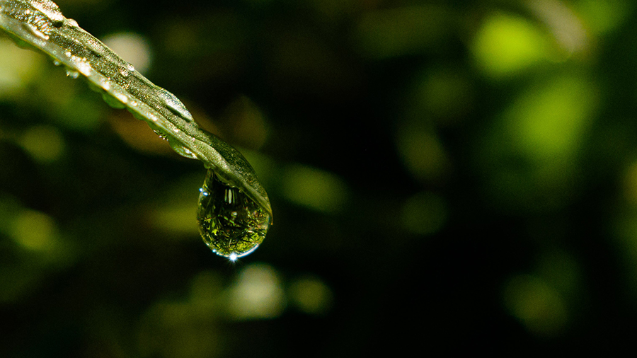 professional townsville photographer