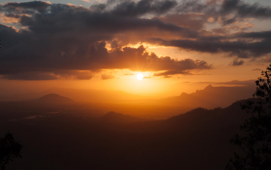 the passion of a townsville photographer shine through